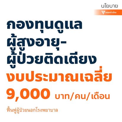 นโยบาย 300